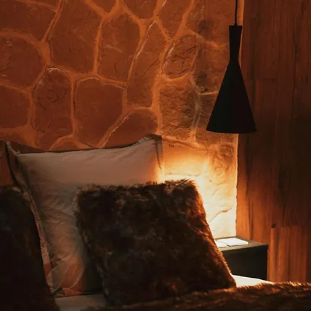 Suite L'Alpina Avec Sauna Et Baignoire - Hyper Centre Lille Lille