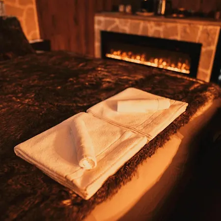 Suite L'Alpina Avec Sauna Et Baignoire - Hyper Centre Lille Lille