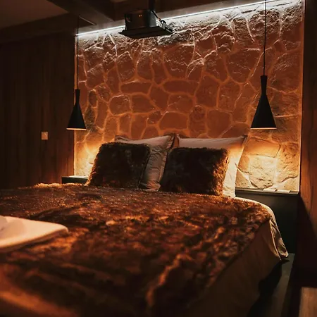 Suite L'Alpina Avec Sauna Et Baignoire - Hyper Centre Lille * Lille