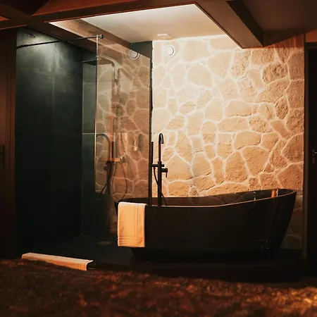 Suite L'Alpina Avec Sauna Et Baignoire - Hyper Centre Lille דירה ליל