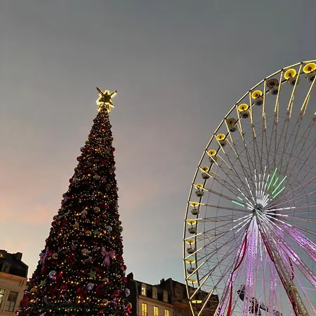 Alpina Avec Sauna Et Baignoire - Hyper Centre Appartement Lille