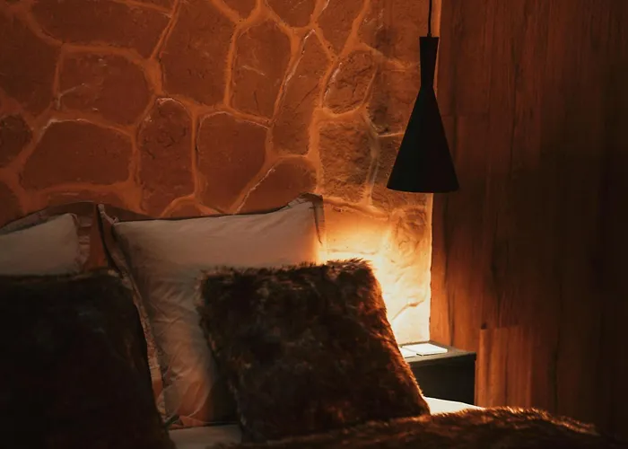 Alpina Avec Sauna Et Baignoire - Hyper Centre Lille