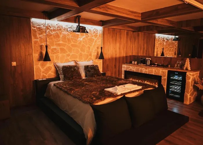 Alpina Avec Sauna Et Baignoire - Hyper Centre Appartement Lille