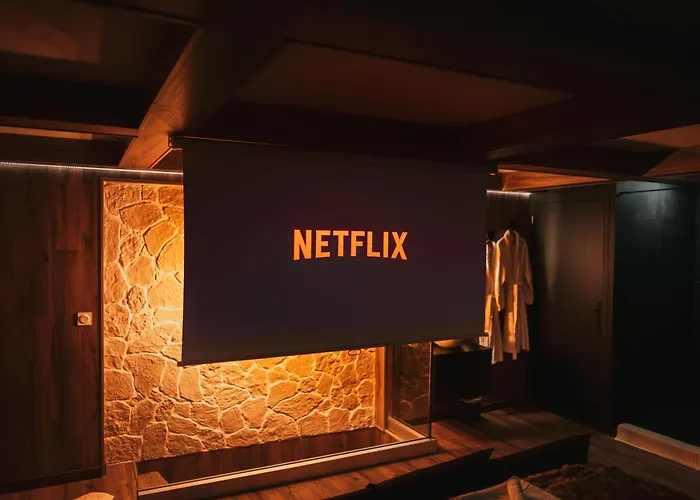 Alpina Avec Sauna Et Baignoire - Hyper Centre Lille