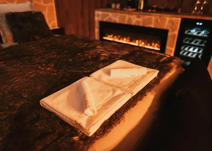 Alpina Avec Sauna Et Baignoire - Hyper Centre Lille