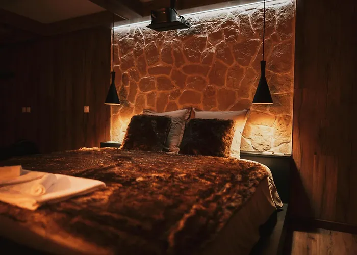 Alpina Avec Sauna Et Baignoire - Hyper Centre * Lille