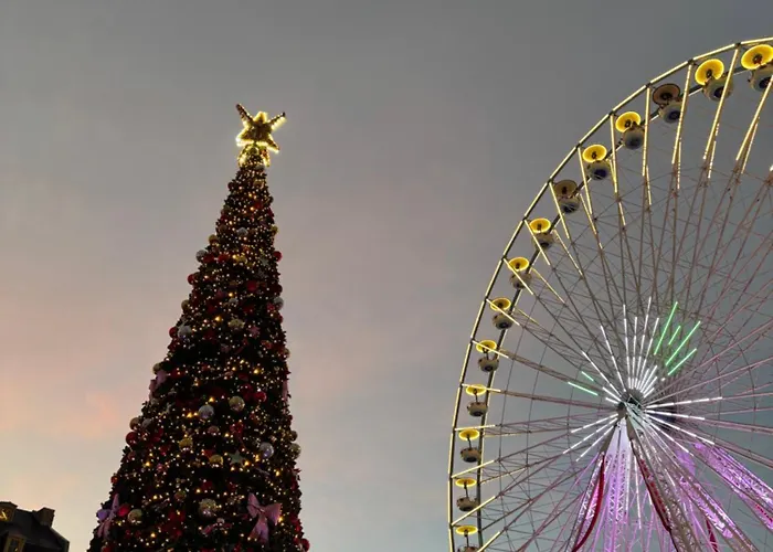 Alpina Avec Sauna Et Baignoire - Hyper Centre Appartement Lille